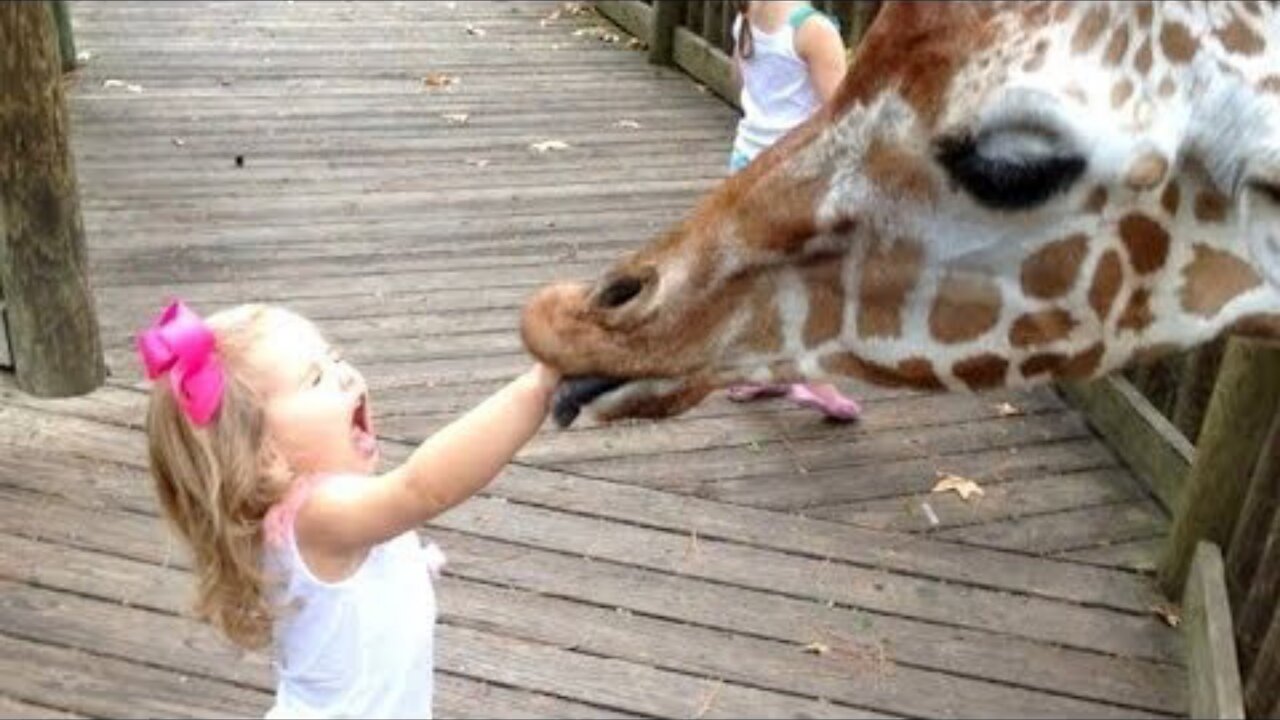Funny kids vs zoo animals are way funnier ! - Try not laugh 😂