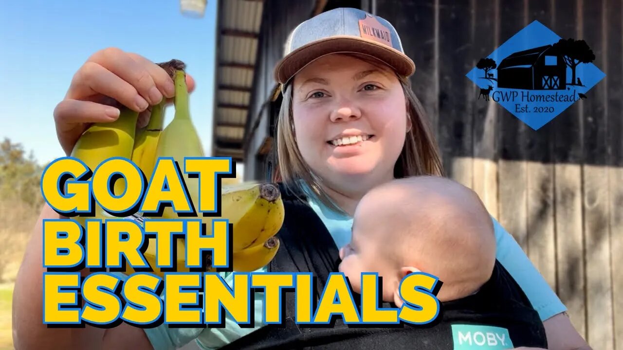 Top 5 Things you NEED in your Goat Birth Kit!