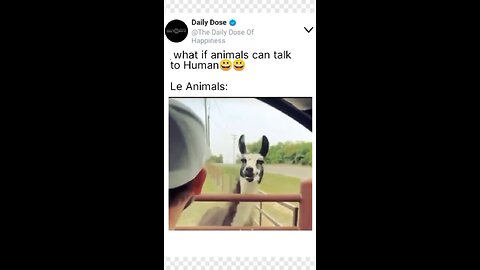 What If animal can talk to Human 😂😂