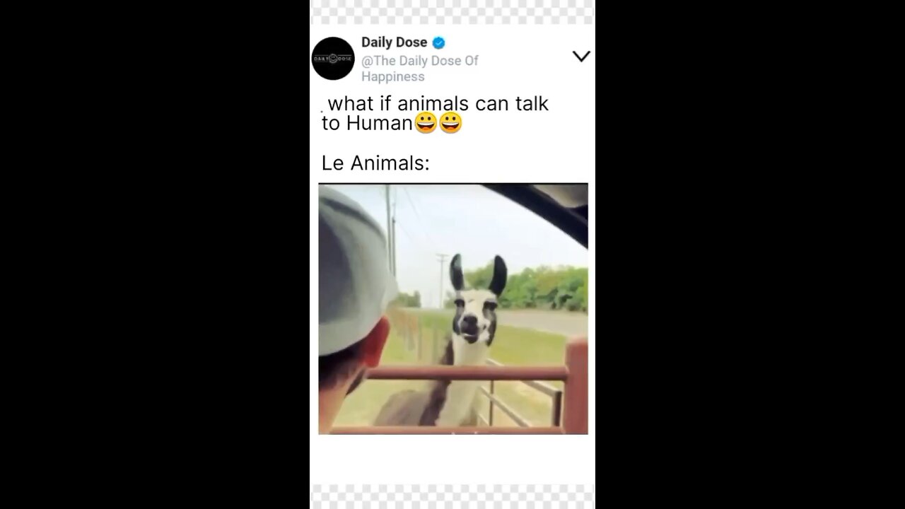 What If animal can talk to Human 😂😂