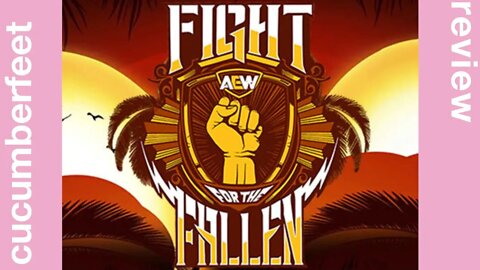 AEW Fight for the Fallen (Review)