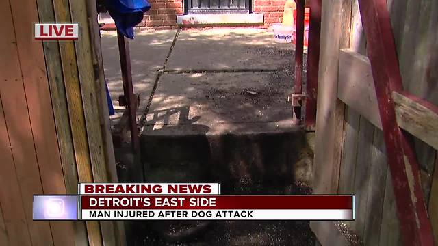 Detroit man mauled by dog on city's east side