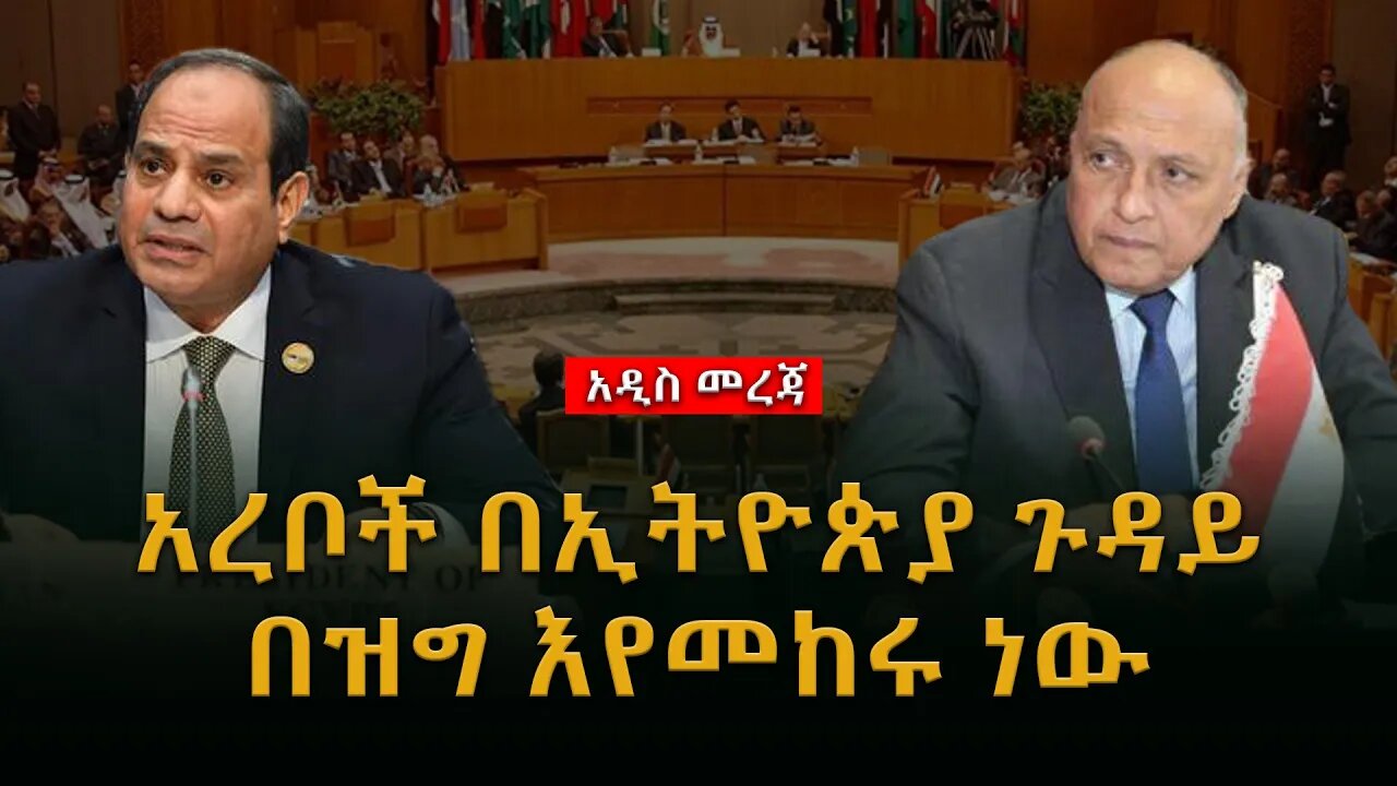 Ethiopia : ሰበር ጥብቅ መረጃ ሊደመጥ የሚገባው| አረቦች በኢትዮጵያ ጉዳይ በዝግ እየመከሩ ነው