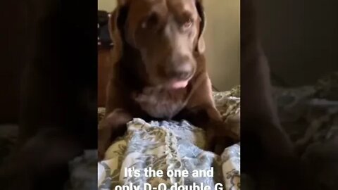 It's the one and only D-O double G #shorts