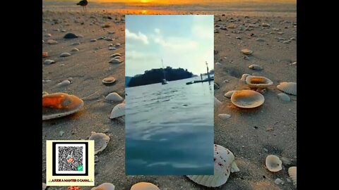 ANGRA DOS REIS PRAIA DO MOLEQUE #brasil #riodejaneiro #angradosreis #praia #beach