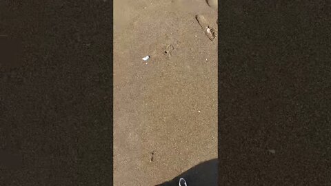 #short #subscribe #creator