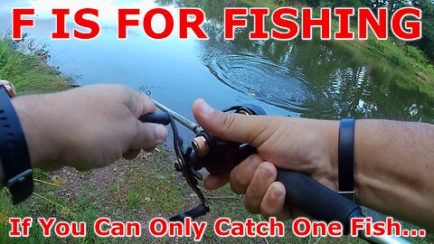 If You Can Only Catch One Fish...