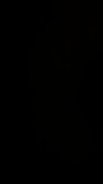 Fourth of July weekend