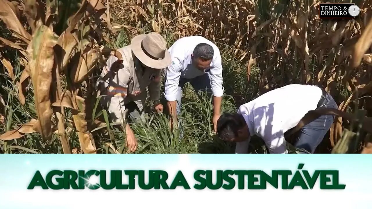 Agricultura Sustentável - com Frederico Olivi @Riza Sementes