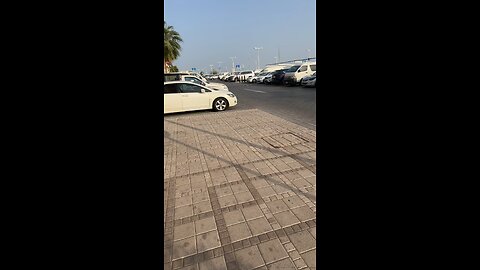 Bahrain 🐉