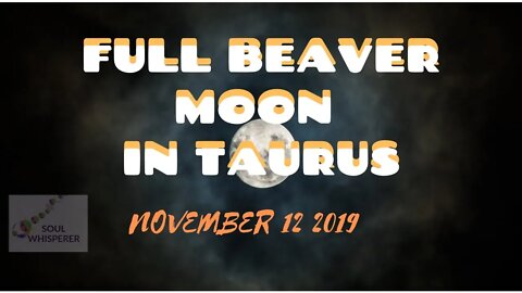 FULL BEAVER MOON READING: Affirming Your Value, Strengthening Your Confidence * Nov 12