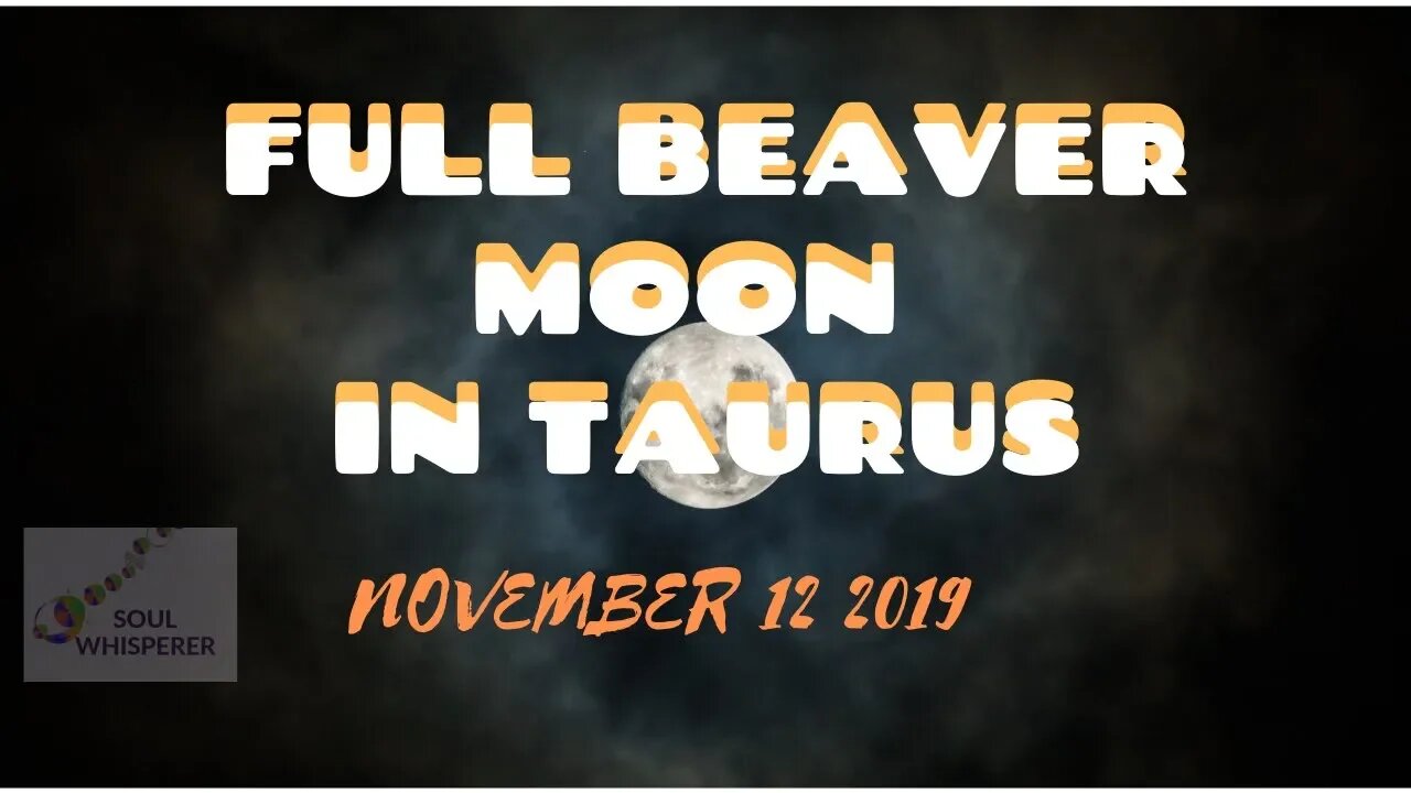 FULL BEAVER MOON READING: Affirming Your Value, Strengthening Your Confidence * Nov 12