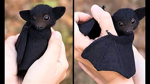 Animal Vised Presents: Cuteness Overload - 20 Baby Animals That Will Melt Your Heart!