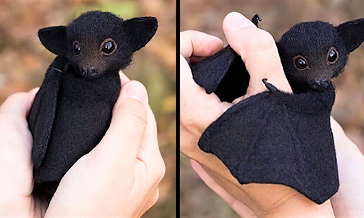Animal Vised Presents: Cuteness Overload - 20 Baby Animals That Will Melt Your Heart!