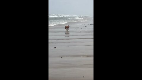 At the beach