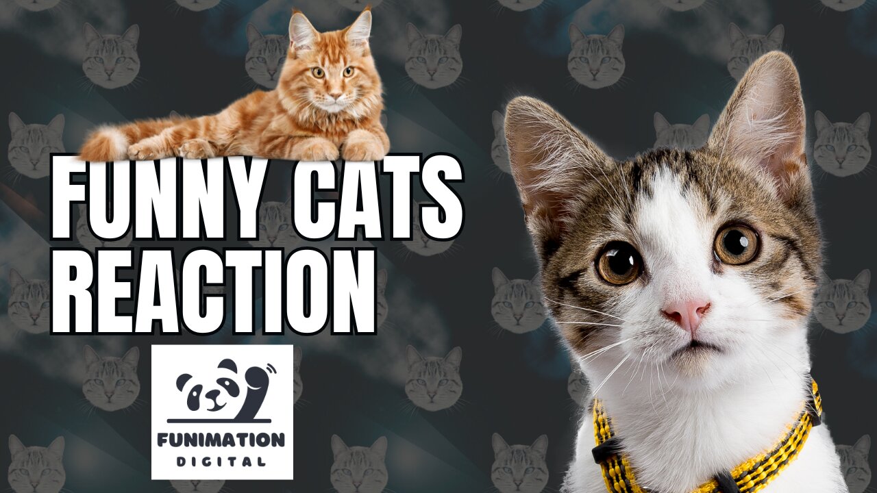 Funniest Animals 2023 π Funny Cats π±| Funny Animal Videos 2023