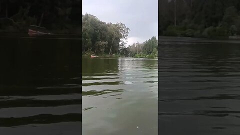 Ooty Lake #nature #reel #ooty #boat #lake #tour #relaxingmusic #explore #trending #sunset #subscribe