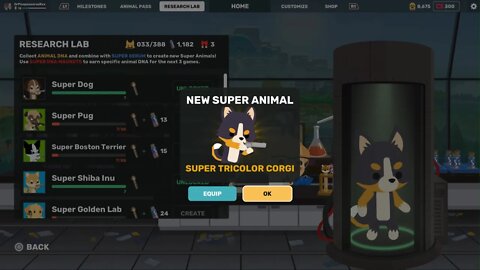 Unlocking The Tri-Color Corgi | Super Animal Royale