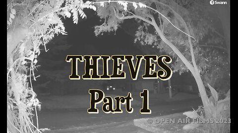 THIEVES PART 1