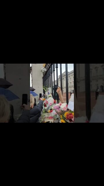 Paddington bear was the Queen's favourite