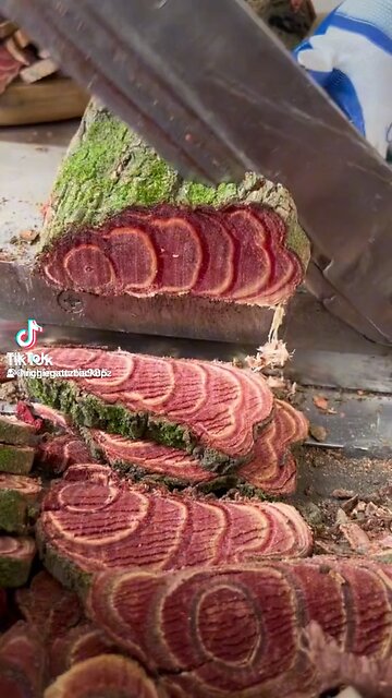 Not me thinking that is beef wellington