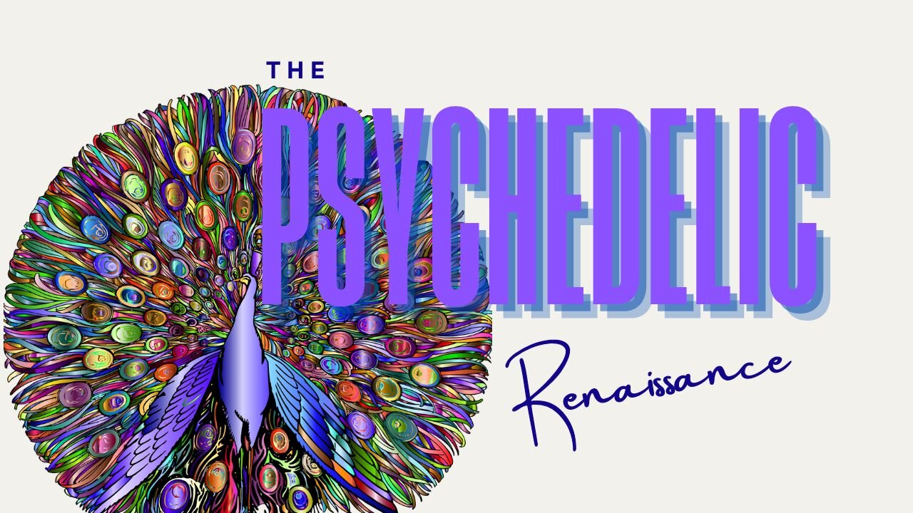 The Psychedelic Renaissance 101