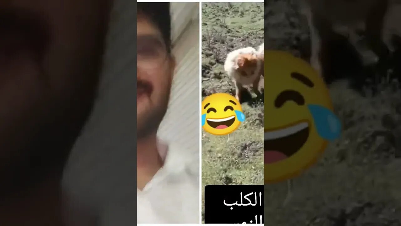 #shorts #youtubeshorts