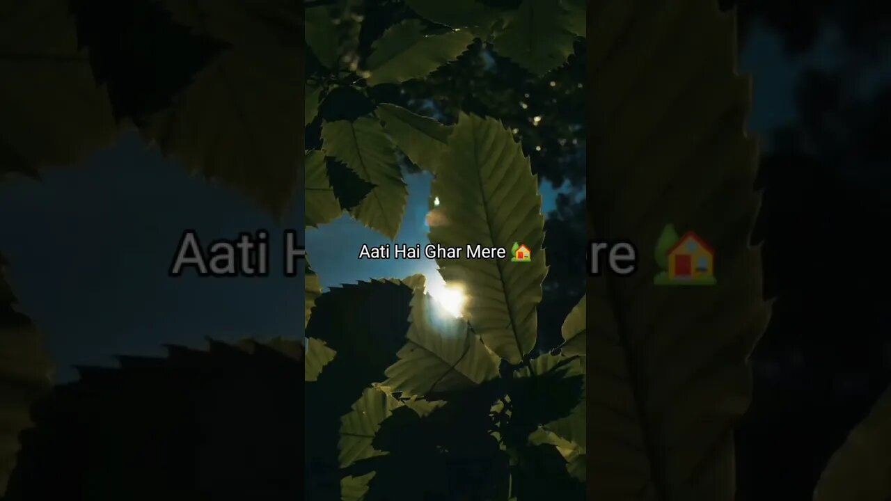 Ek Tarfa Aashiq Tera♥️|| Hasi Ban Gaye🦋(New Version)Aesthetic lofi #short #viral #shorts s.k shorts