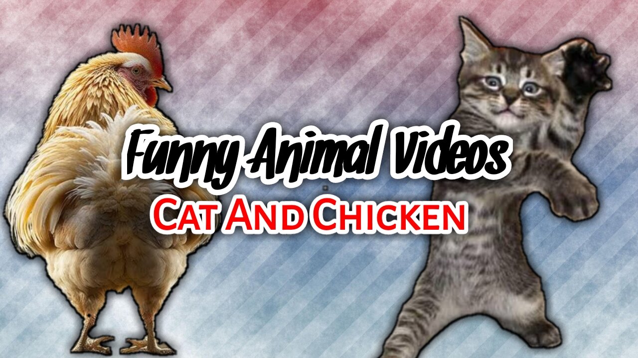 Chicken and Cat Funniest Videos Compilation, Best Funny Videos 2023