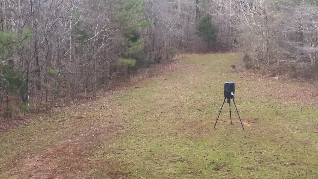 Wahuhi Hunts - Carter’s Field - Jan. 6, 2024 - S1