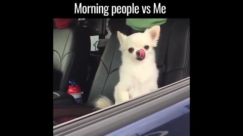 good morning