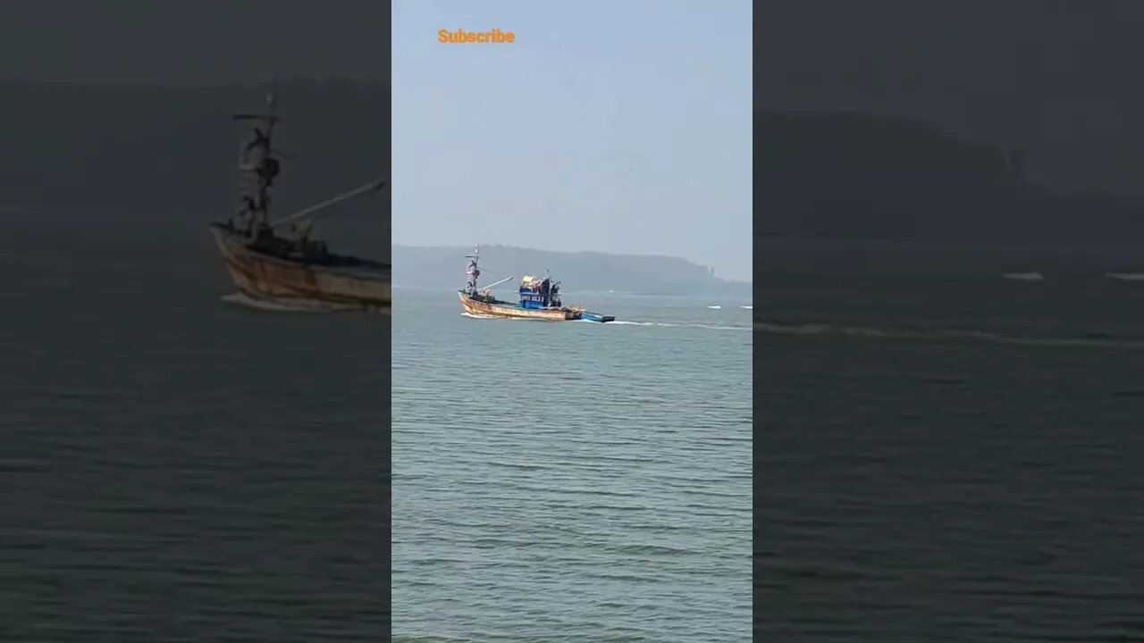 Fishing Spots In Goa #naturephotography #youtubeshorts #shortvideo #viral #shorts #netfishing