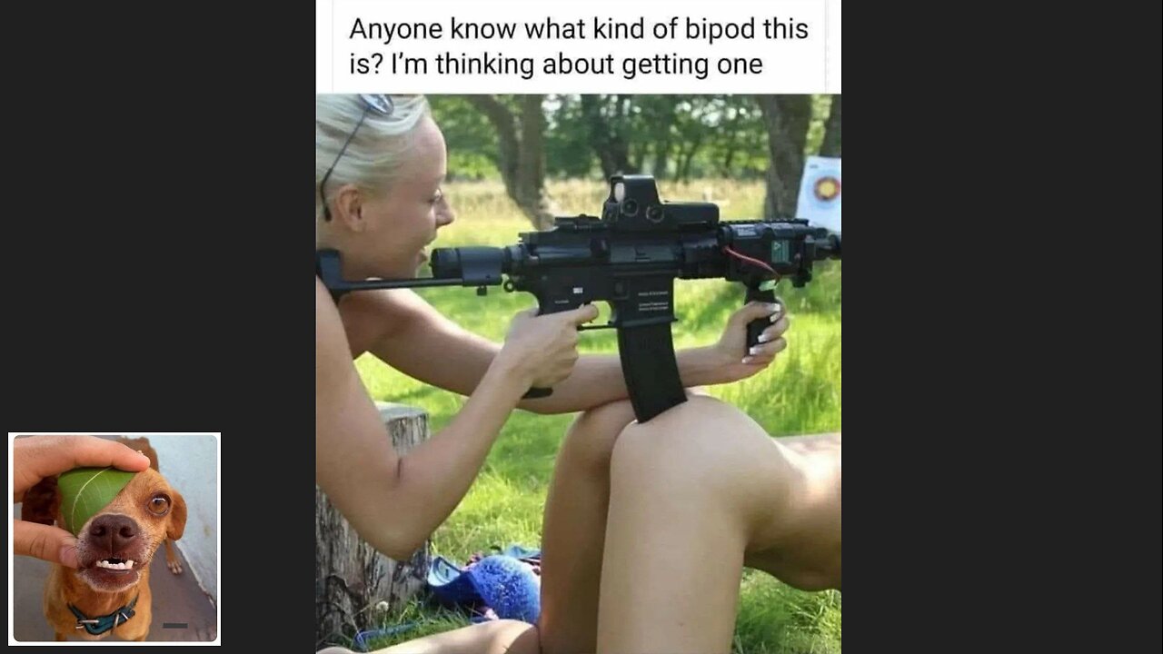 Memes That Will 99.845% Make You Laugh. (e70)