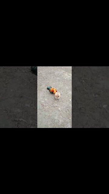 Good morning Chook chook and Rusty