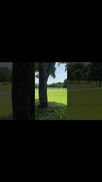 Beautiful Summer Day in Canada