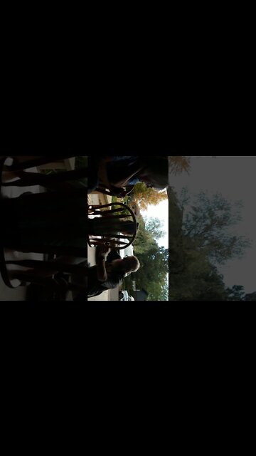 Spin me faster Grandpa! Spin me right round in the chair!