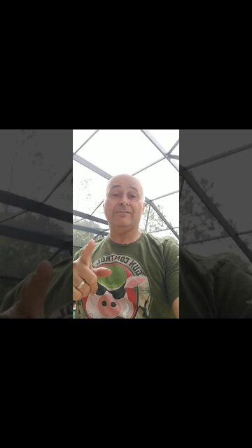 see you at 7pm https://youtu.be/RlGNynwmmls