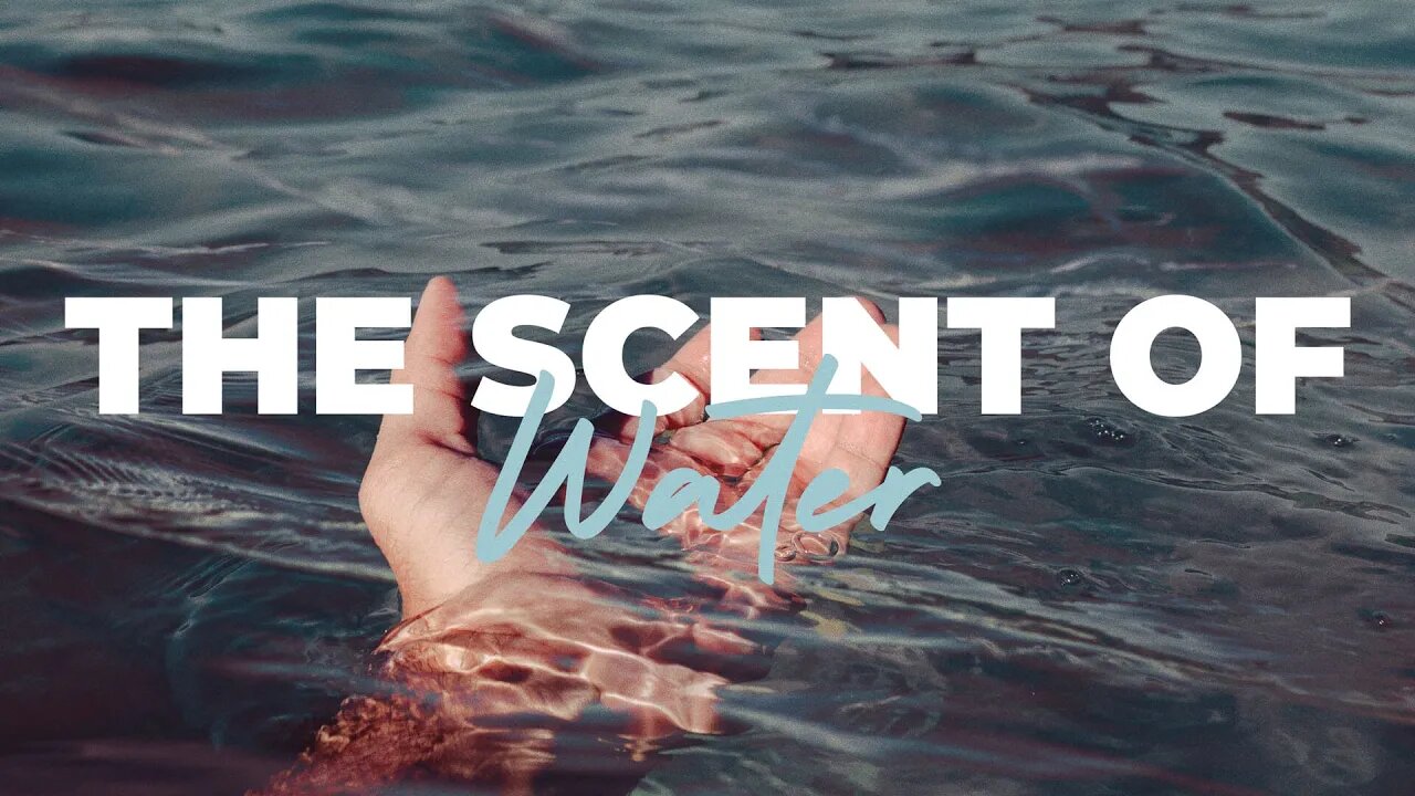 The Scent of Water | Dave Hoffman | Message Only