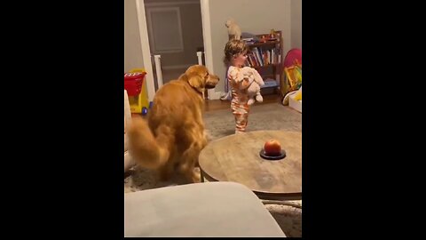 Funny 🐶 dog shorts viral