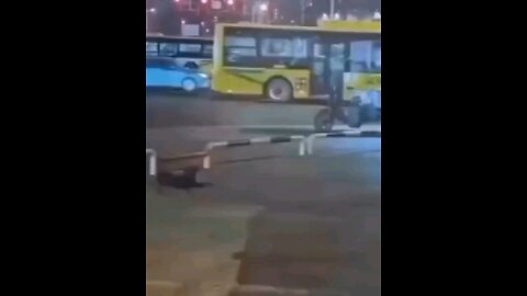 funny videos