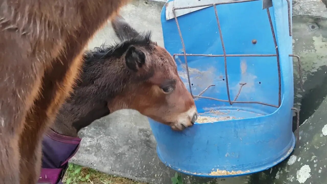 20180628_162234.mp4