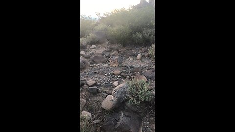 Petroglyph Trail