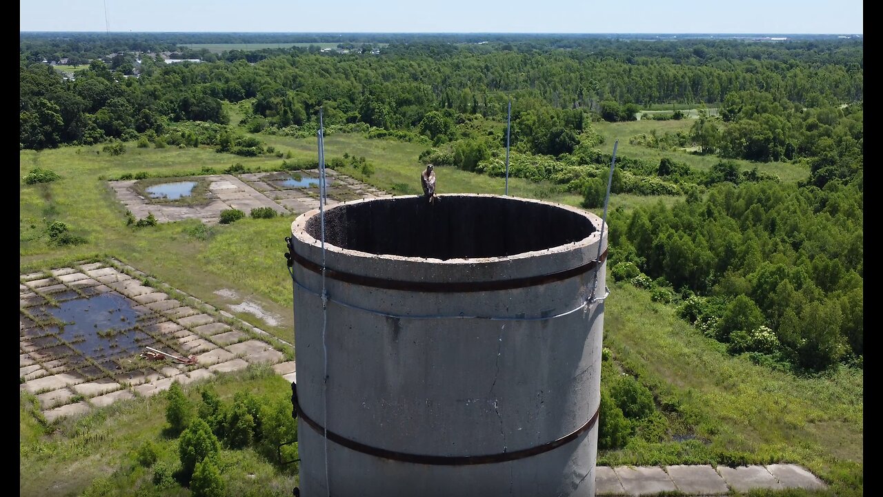 Abandoned Acadiana Chapter 1 - Iberia Sugar Coop.