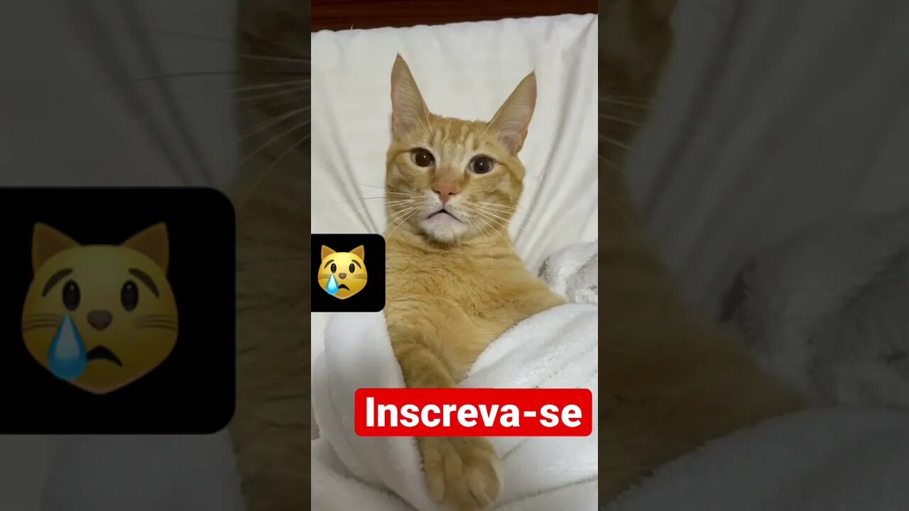 Vai dormir ! Chega de Farra !!