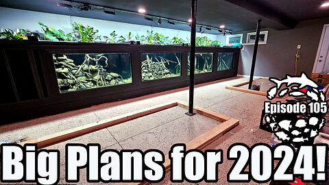 New Fish for the 4500 Gallon & Big Aquarium Basement Projects for 2024!