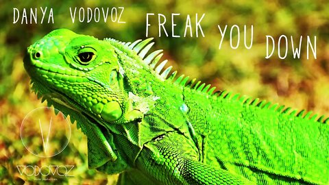 Danya Vodovoz - Freak You Down