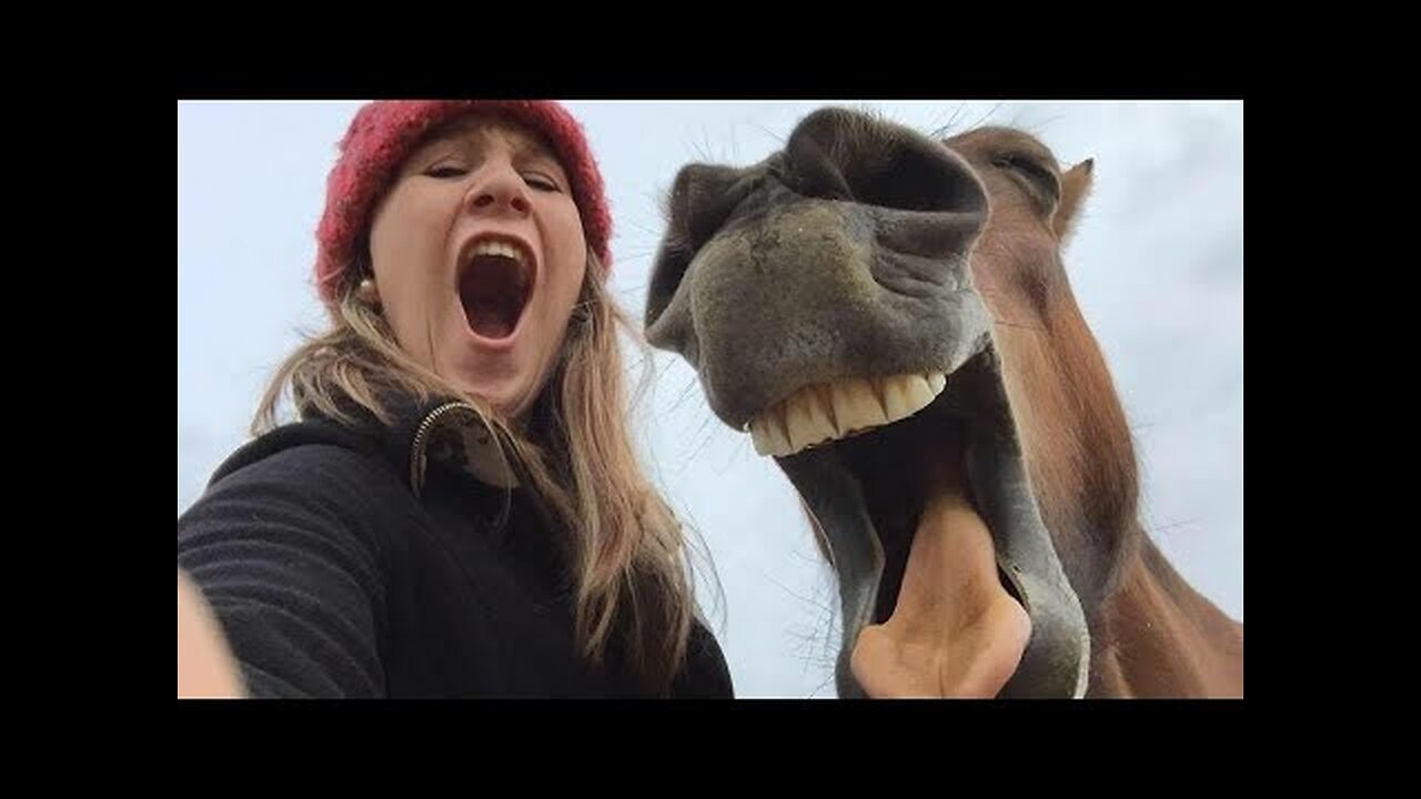 New Funny animal videos 2024 №14