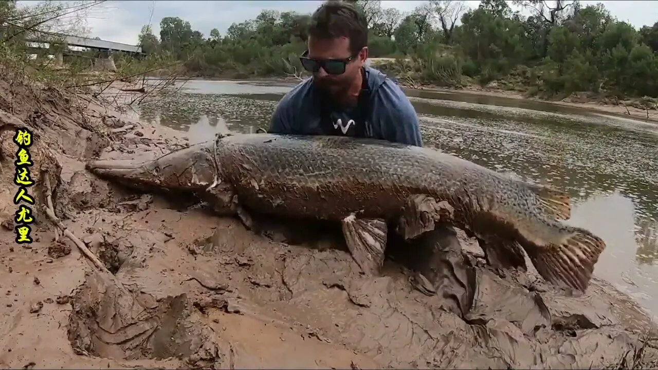 20/ Luya wild fishing bite 300 catties of big fish, too exciting!