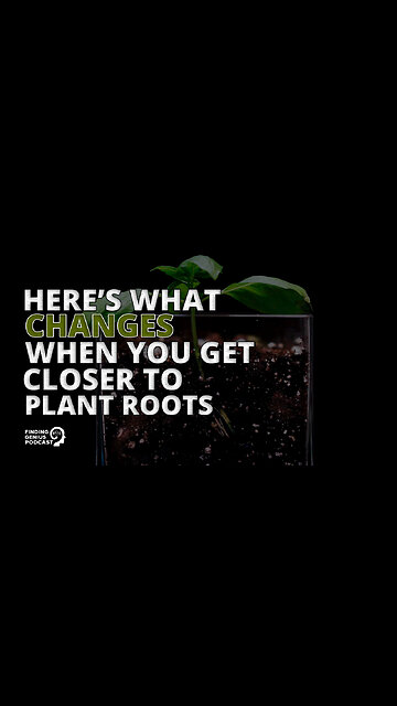 Here’s What Changes When You Get Closer to Plant Roots