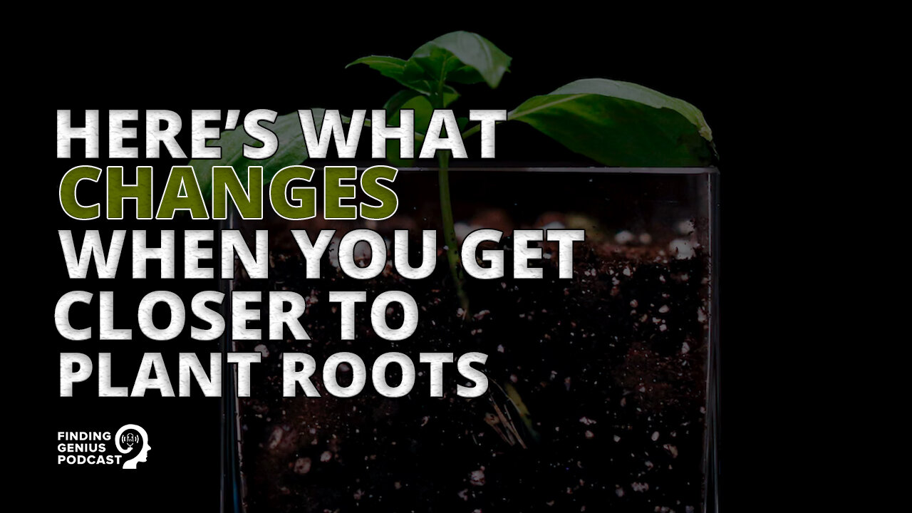 Here’s What Changes When You Get Closer to Plant Roots